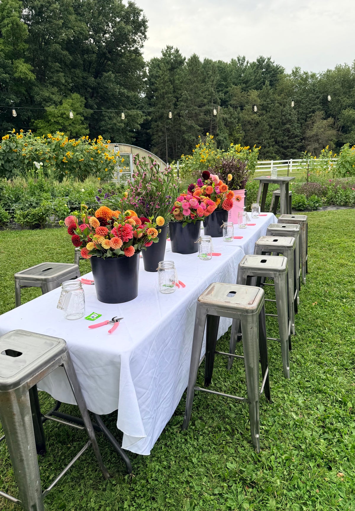 Book your private event at our farm!
