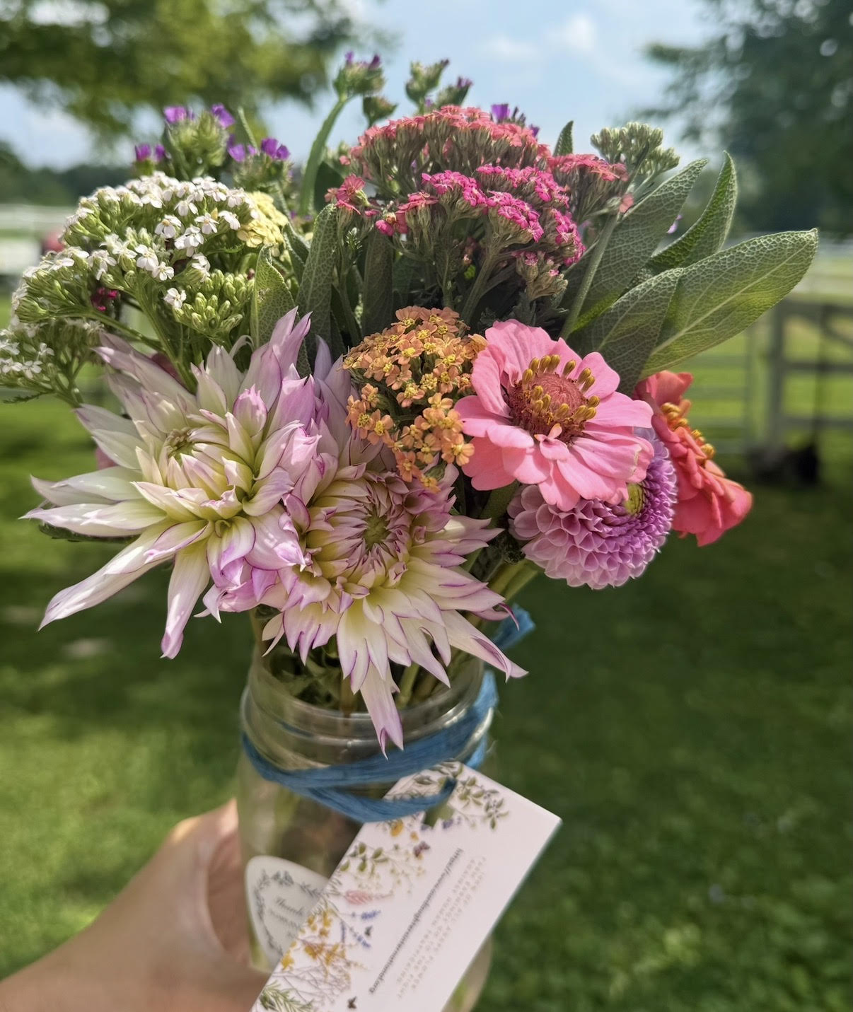 U-Pick ~Summer dates to be determined