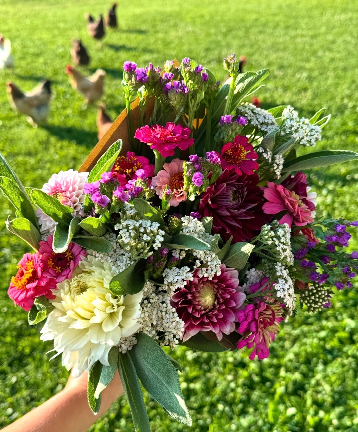 2026 Summer Subscription