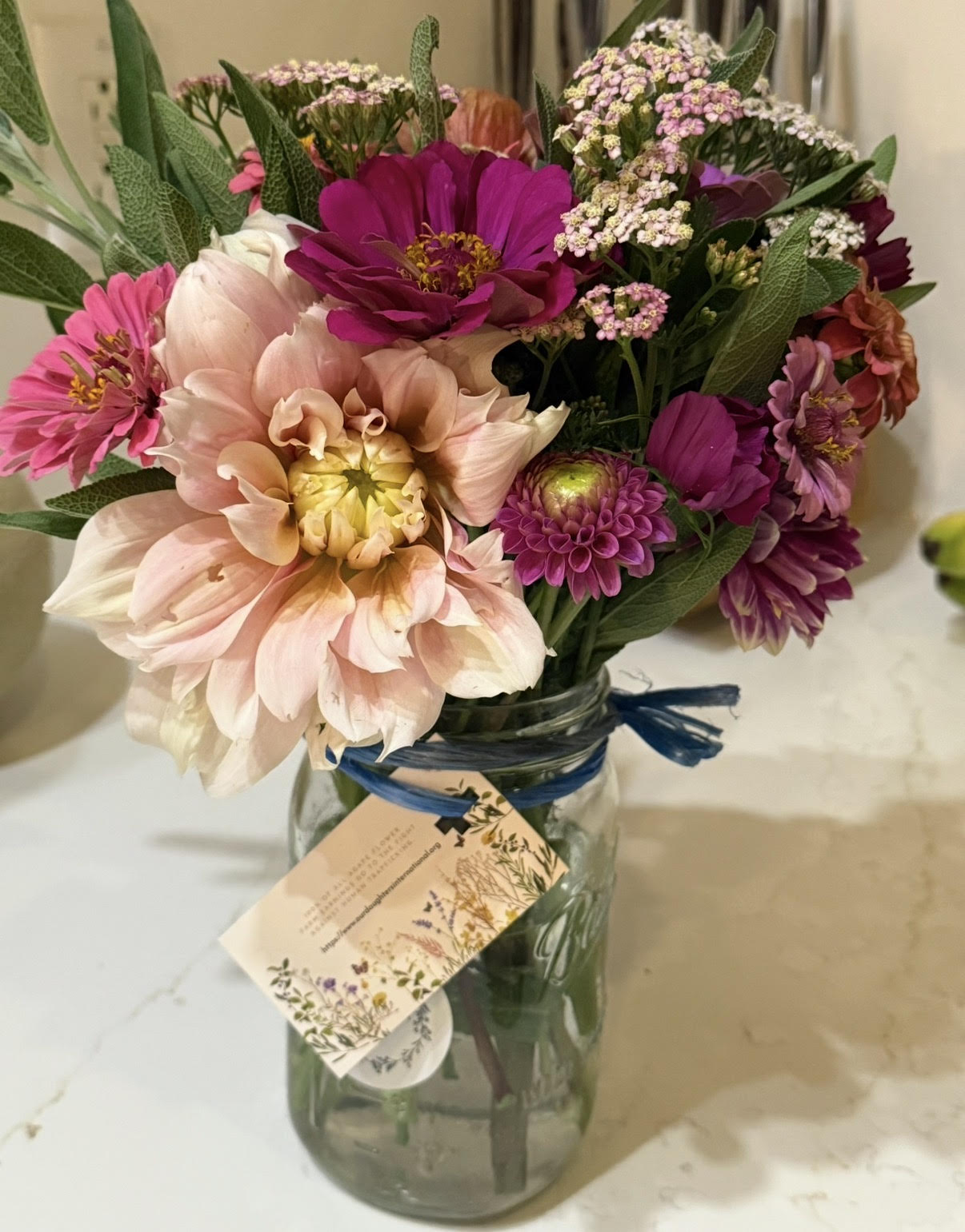 2026 Summer Subscription