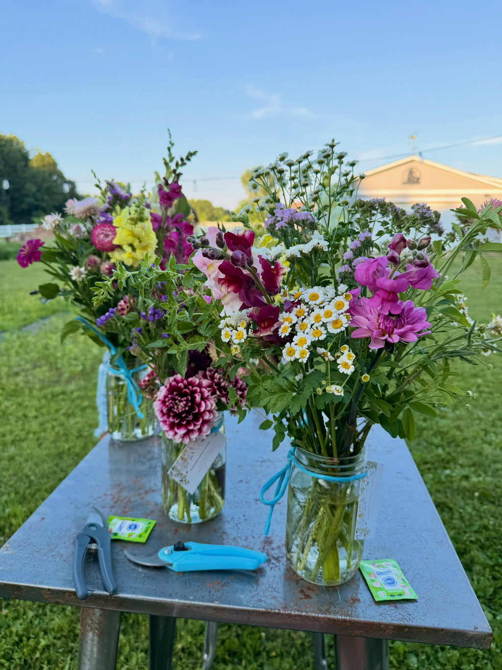 🌸✨ U-Pick Flower Experience ✨🌸 Tuesday, August 4th 7:00pm