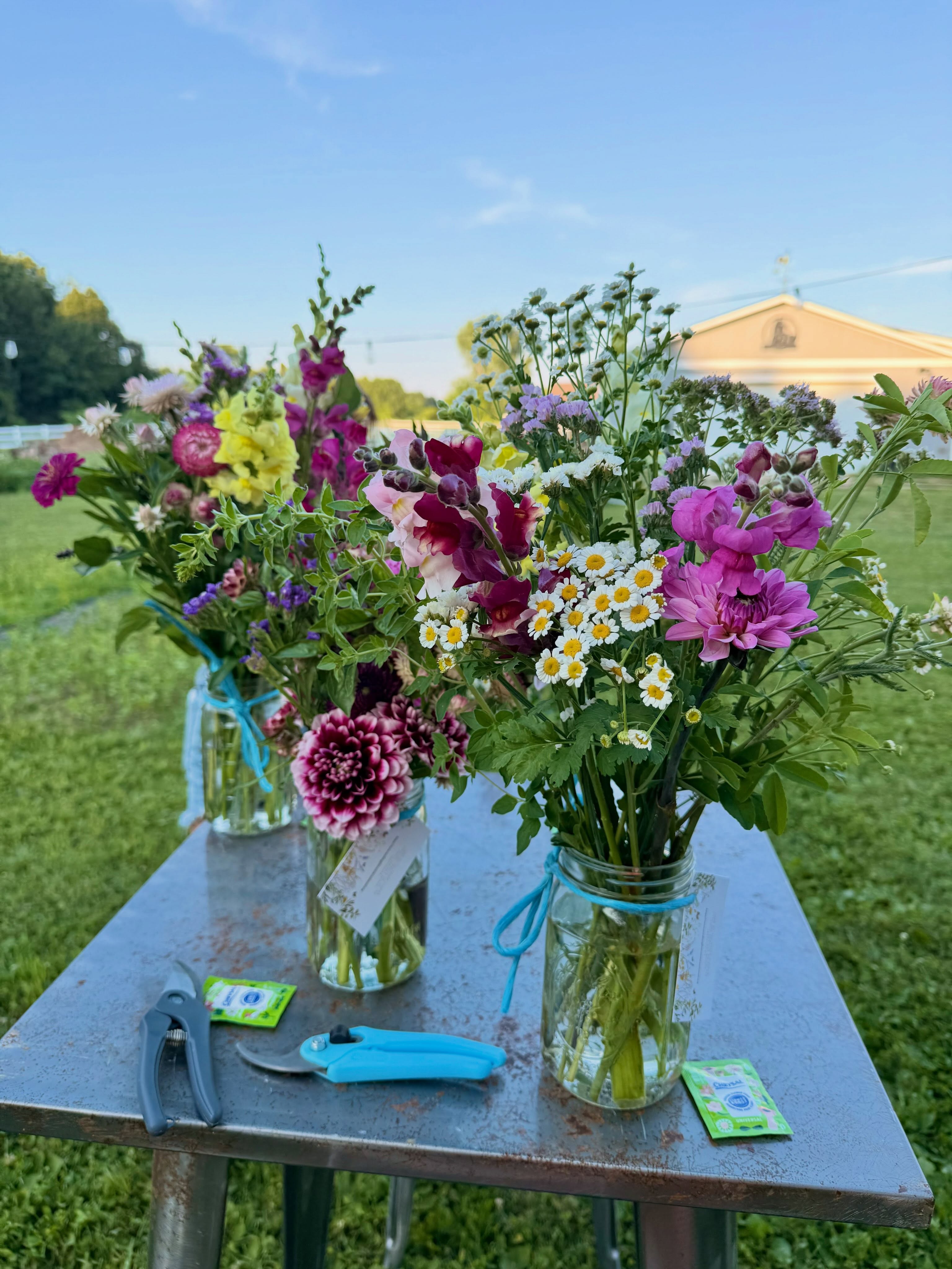 🌸✨ U-Pick Flower Experience ✨🌸 Tuesday, August 4th 7:00pm